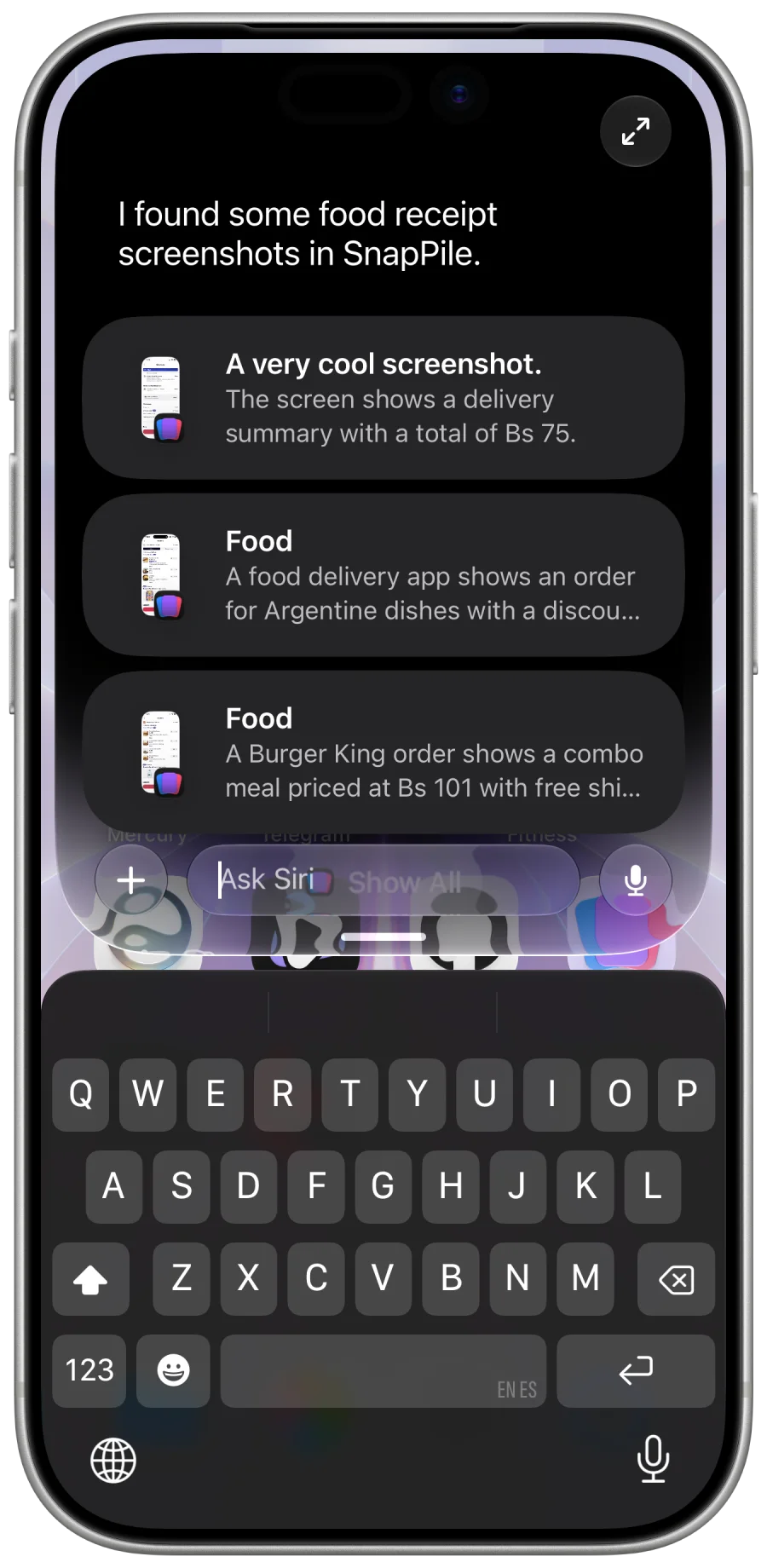 Siri showing SnapPile screenshot search results